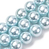Electroplated Shell Pearl Beads Strands BSHE-G041-12mm-03-1