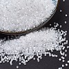 MIYUKI Delica Beads LS-X-SEED-J020-DB0670-1