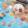 32Pcs 4 Style Natural Shell Pendant PALLOY-PH01861-2