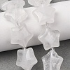 Natural Quartz Crystal Beads Strands G-K359-E21-1