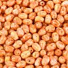 Picasso Glass Seed Beads SEED-N012-10B-3