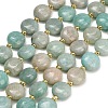 Natural Amazonite Beads Strands G-H005-B13-01-2