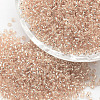 12/0 Transparent Glass Round Seed Beads SEED-J010-F12-L36-1