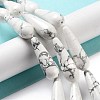 Natural Howlite Beads Strands G-P528-H10-01-2