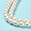 Natural Cultured Freshwater Pearl Beads Strands PEAR-E016-194C-4