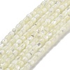 Natural Trochid Shell/Trochus Shell Beads Strands BSHE-G038-01-1