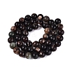 Natural Biotite Beads Strands G-Q616-01C-3