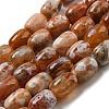 Natural Dragon Veins Agate Beads Strands G-A223-D11-01E-2