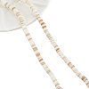  2 Strands Natural Freshwater Shell Beads Strands BSHE-NB0001-17-1