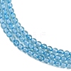 Natural Blue Topaz Beads Strands G-P553-A01-02-4