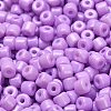 Baking Paint Pearlized Glass Seed Beads SEED-C001-04A-12-3