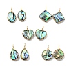Copper Wire Wrapped Natural Paua Shell Pendants PALLOY-JF05711-1