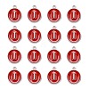 Platinum Plated Alloy Enamel Charms LS-X-ENAM-S118-03I-P-2