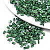 FGB 2-Hole Glass Seed Beads SEED-S031-M-SH127-1