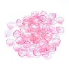 Transparent Glass Charms GLAA-H016-05E-10-1