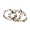 Unisex Chip Natural Gemstone Beaded Stretch Bracelets BJEW-S143-35-2