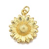 Rack Plating Brass Pendants KK-K401-56G-1
