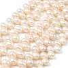 Natural Cultured Freshwater Pearl Beads Strands PEAR-I007-04E-01A-2