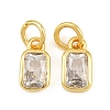 Brass Pave Cubic Zirconia Charms CU-CBA3D67-12G-03-1