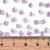 Transparent Inside Colours Glass Seed Beads SEED-T007-13J-4