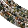 Natural Indian Agate Beads Strands GG-CBA77FB-A01-3mm-3