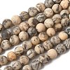 Natural Feldspar Bead Strands G-P295-06-8mm-6