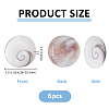 6Pcs Natural Shiva Eye Shell Cabochons BSHE-FH0001-04-2