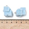 Flocking Opaque Resin Pendants RESI-F064-A22-3