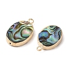 Natural Paua Shell Pendants SHEL-P017-17G-2