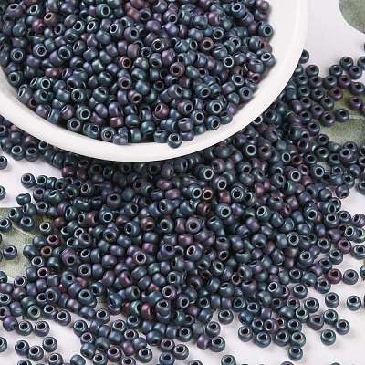 MIYUKI Round Rocailles Beads X-SEED-G008-RR2009-1
