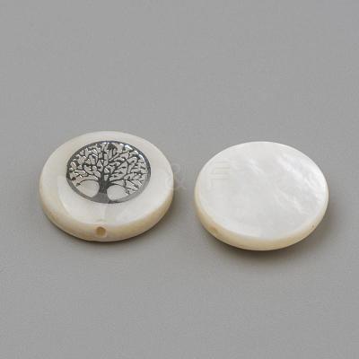 Natural Freshwater Shell Beads SHEL-Q011-006P-1