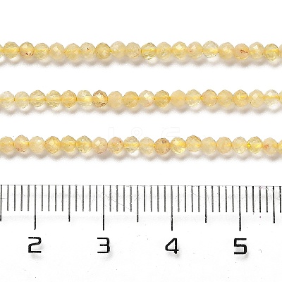 Heated Natural Citrine Beads Strands G-Z074-A03-01-1