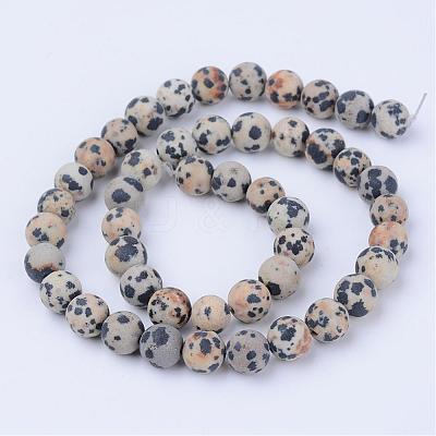 Natural Dalmatian Jasper Beads Strands G-Q462-6mm-05-1