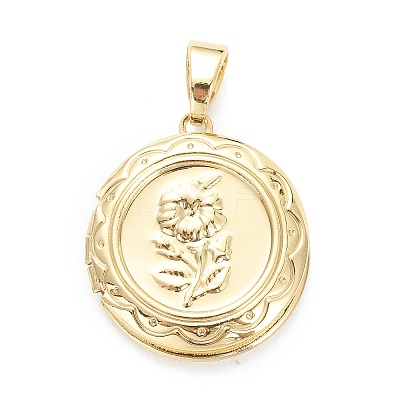 Brass Locket Pendants LS-KK-P199-07G-1