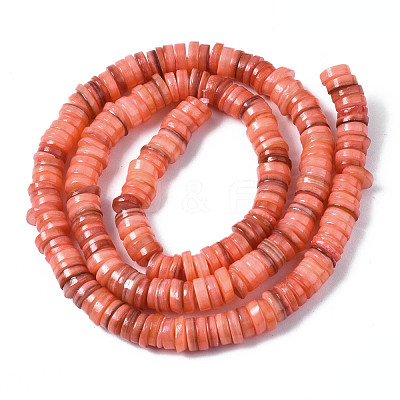 Natural Freshwater Shell Beads Strands SHEL-S278-025H-1