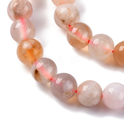 Natural Cherry Blossom Agate Beads Strands G-B130-6mm-02-1