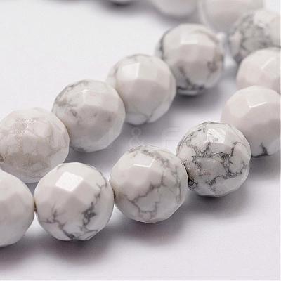 Natural Howlite Beads Strands G-D840-44-6mm-1