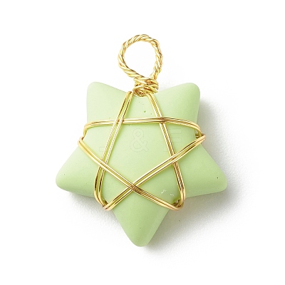 Opaque Resin Pendants PALLOY-JF01849-01-1