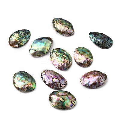 Natural Paua Shell Cabochons SSHEL-S280-01C-1