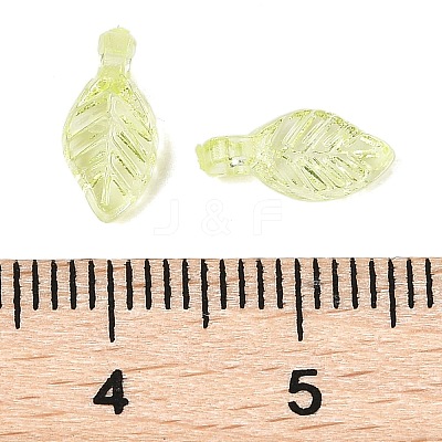 Transparent Acrylic Charms TACR-F009-11A-1