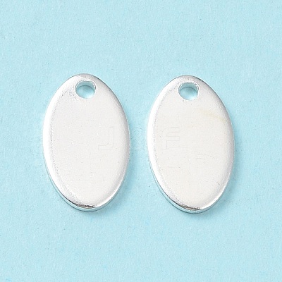 304 Stainless Steel Charms STAS-L234-065A-S-1