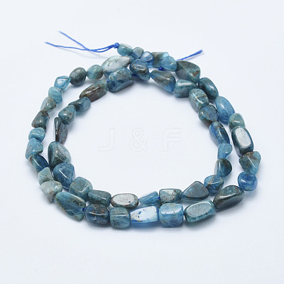 Natural Apatite Beads Strands LS-G-K203-13-1