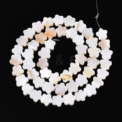 Natural Freshwater Shell Beads Strands SHEL-S276-111A-1