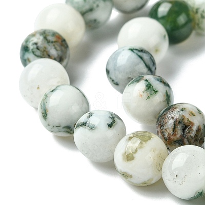 Natural Tree Agate Beads Strands X-G-K194-8mm-02-1
