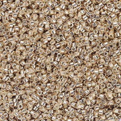 MIYUKI Delica Beads SEED-MY11-DB0433-1