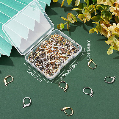 100Pcs 2 Colors 304 Stainless Steel Leverback Earring Findings STAS-BBC0001-56-1
