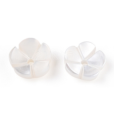 Natural White Shell Beads SSHEL-S260-053-1