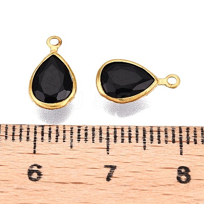 K9 Glass Charms GLAA-T023-10F-1