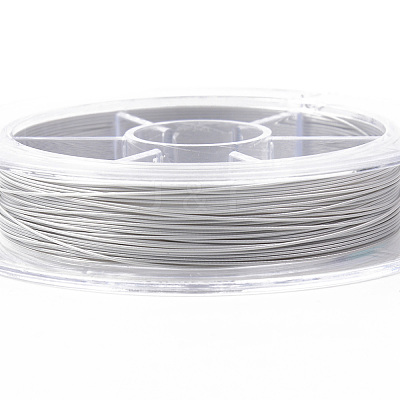 Tiger Tail Beading Wire TWIR-R007-0.4mm-02-1