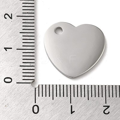 Non-Tarnish 304 Stainless Steel Pendants STAS-K270-05P-1